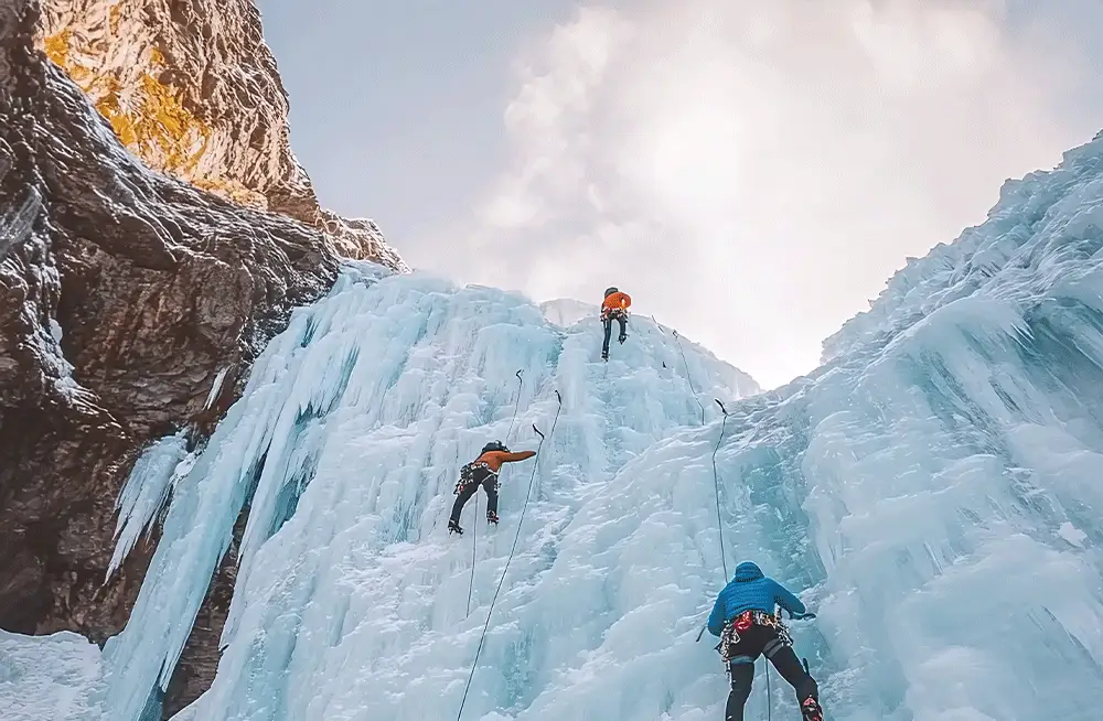 ROI-first execution. We scale what works, cut what doesn’t, and build campaigns that convert across competitive markets.