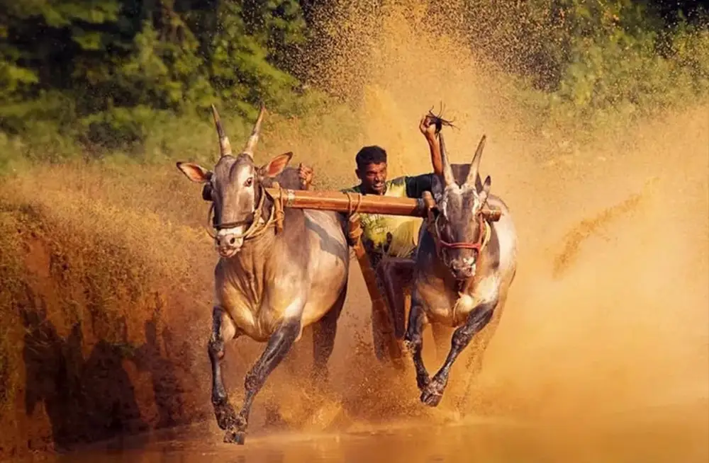 Fashion, food, lifestyle, corporate, our shoots bring brand personality to life. Clean, bold, scroll-stopping content shaped for every platform.